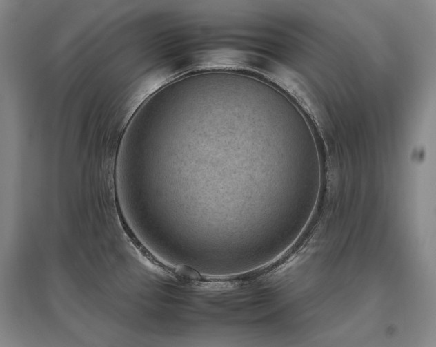 X0000095911337200801111223