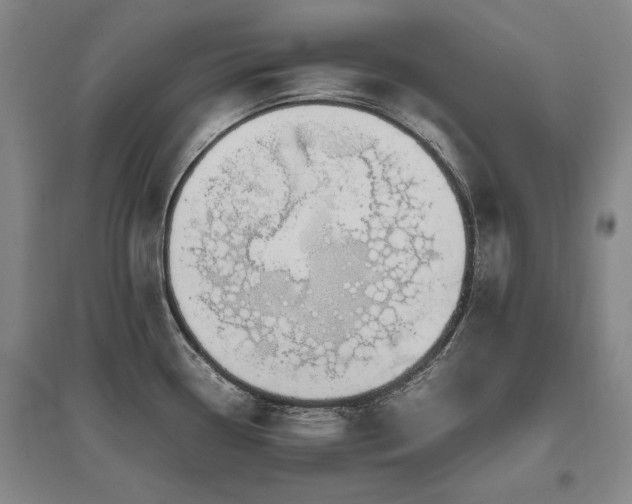 X0000095911338200801111223