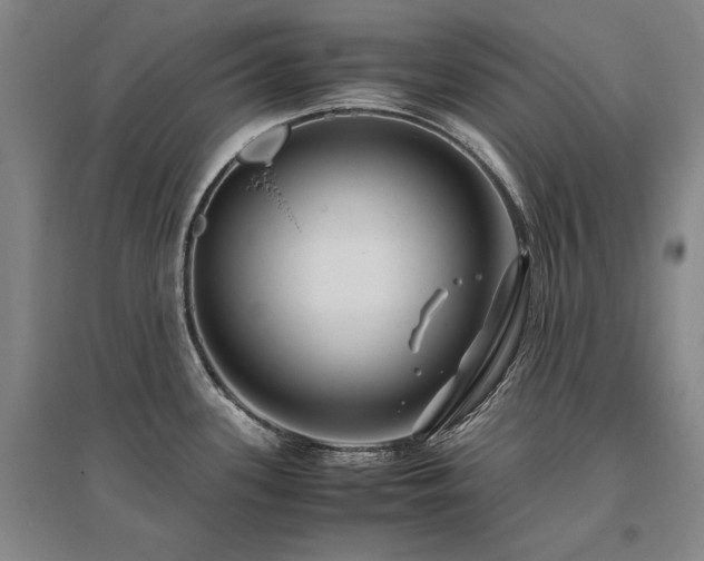 X0000095911339200801111223