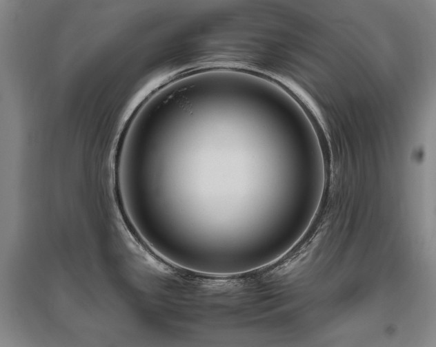 X0000095911341200801111223