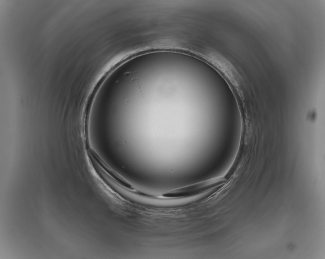 X0000095911342200801111223