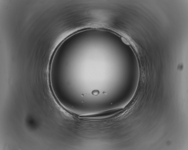 X0000095911343200801111223
