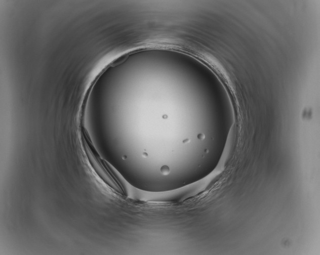 X0000095911344200801111223