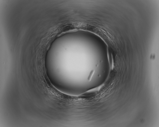 X0000095911345200801111223