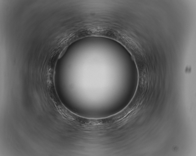 X0000095911346200801111223