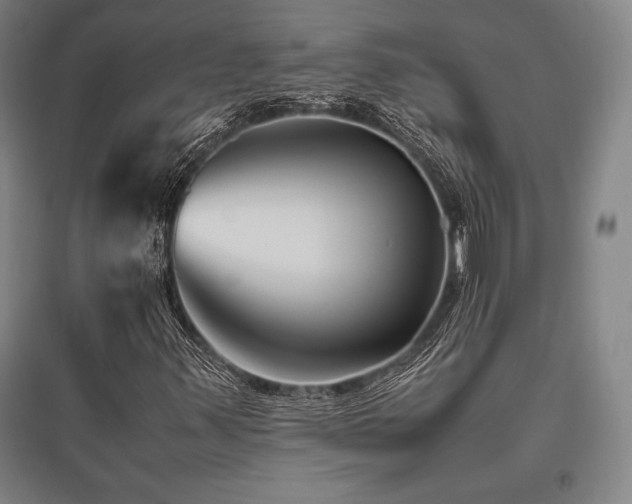 X0000095911347200801111223