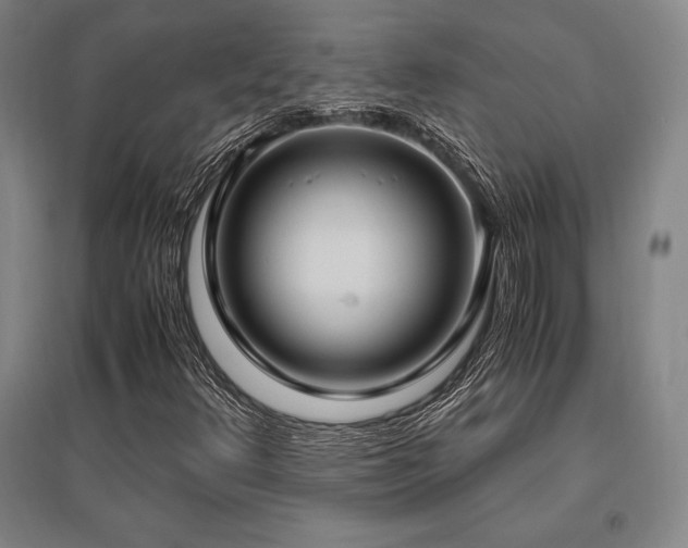 X0000095911348200801111223