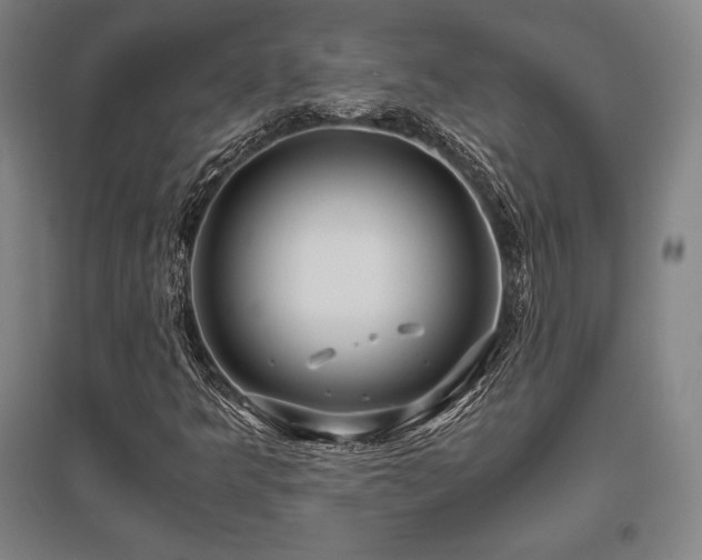 X0000095911349200801111223