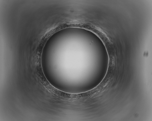 X0000095911350200801111223