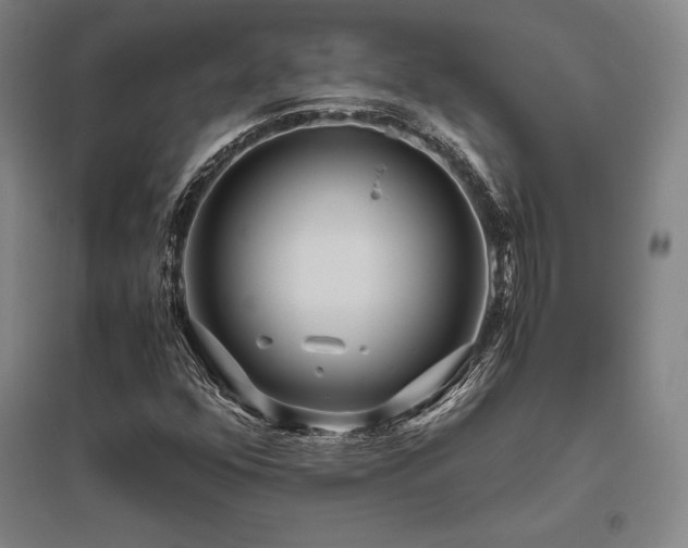 X0000095911352200801111223