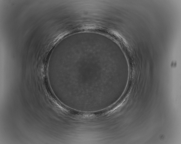 X0000095911353200801111223