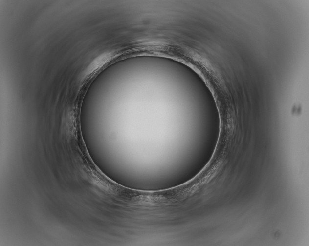 X0000095911354200801111223
