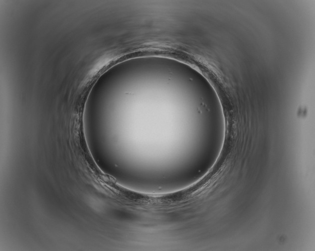 X0000095911355200801111223