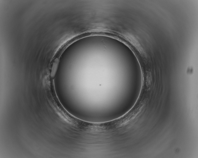 X0000095911356200801111223