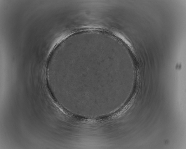 X0000095911357200801111223