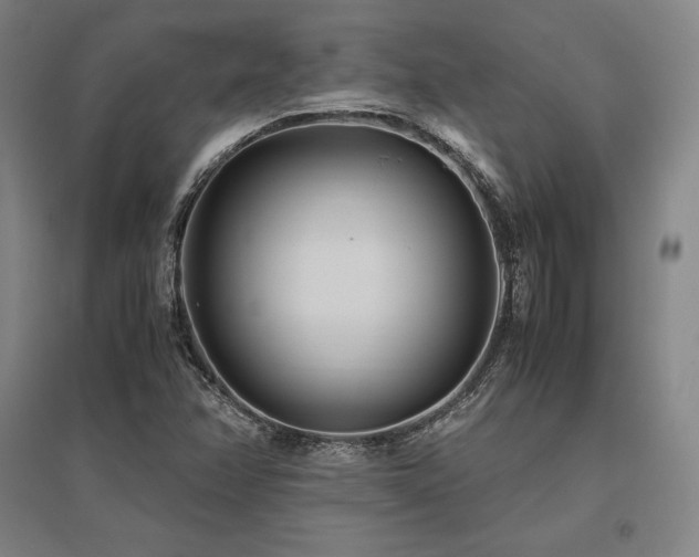 X0000095911358200801111223