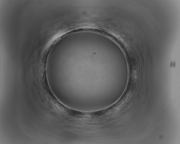 X0000095911359200801111223