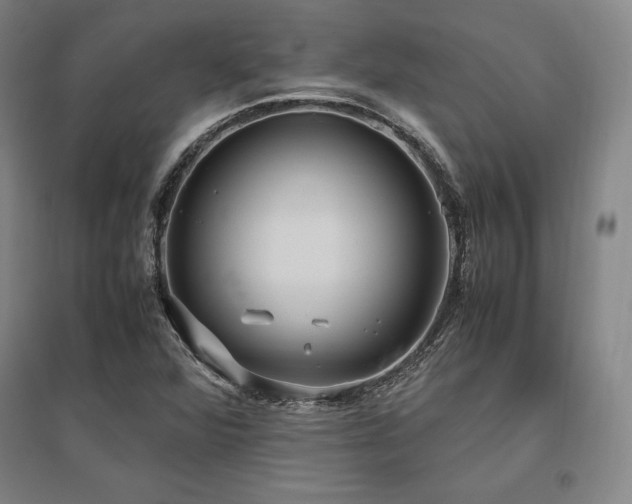 X0000095911360200801111223