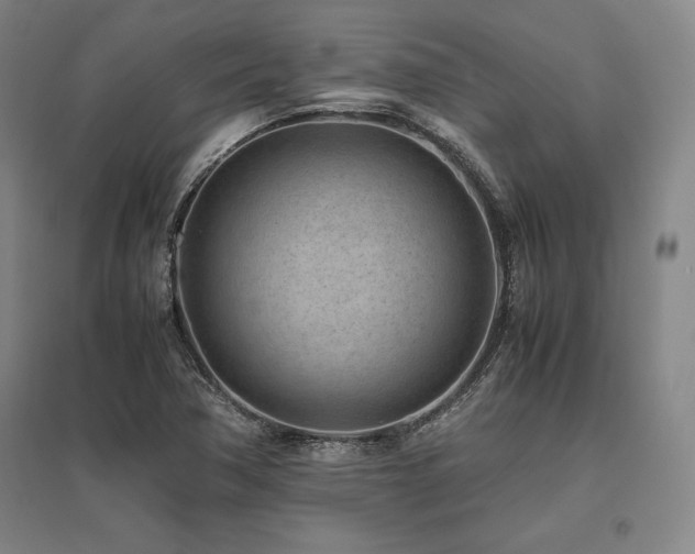 X0000095911362200801111223