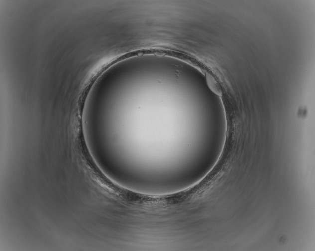 X0000095911363200801111223