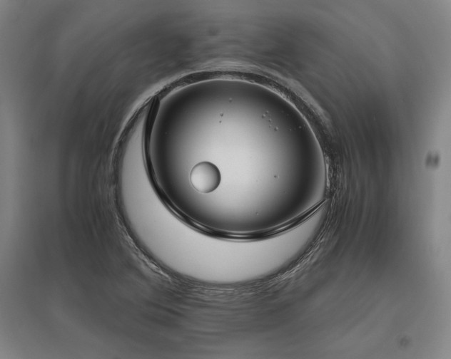 X0000095911364200801111223