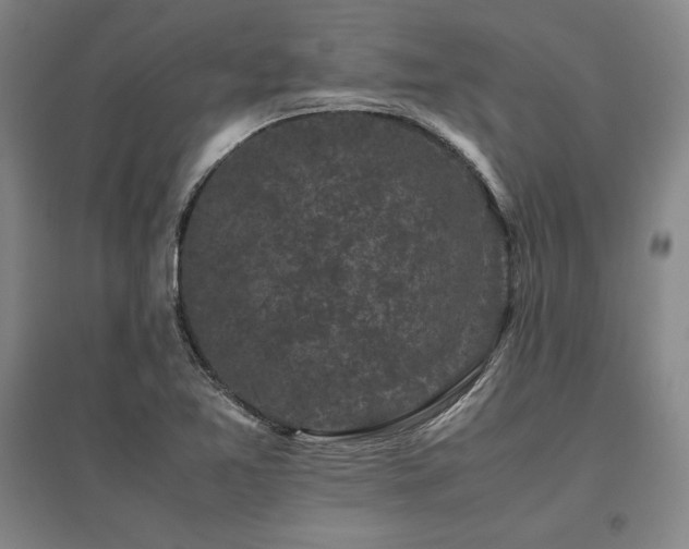 X0000095911365200801111223