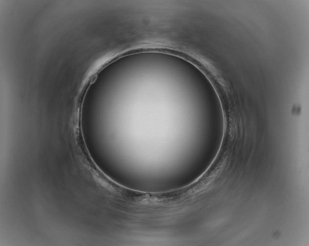 X0000095911366200801111223