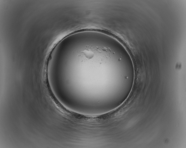 X0000095911367200801111223