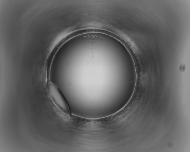 X0000095911368200801111223