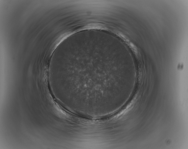 X0000095911369200801111222