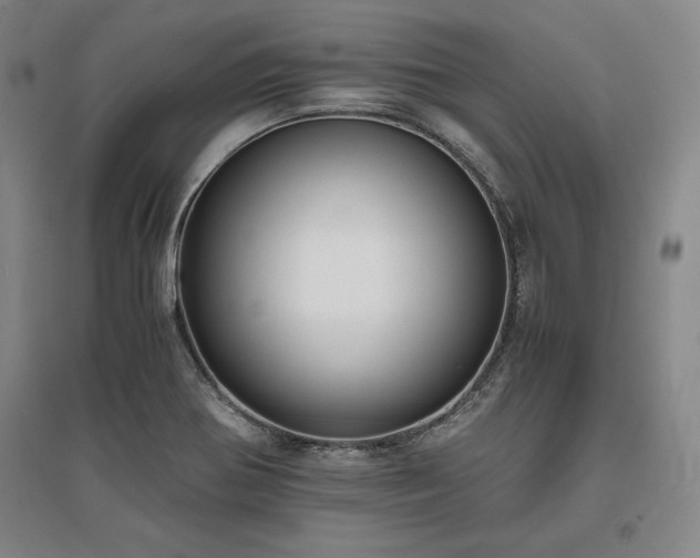 X0000095911370200801111222