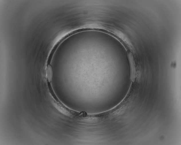 X0000095911372200801111222