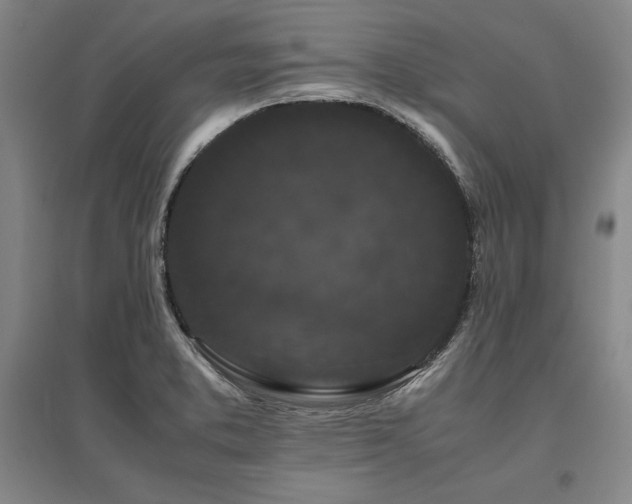 X0000095911373200801111222