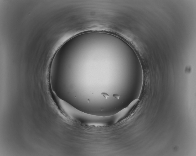 X0000095911375200801111222