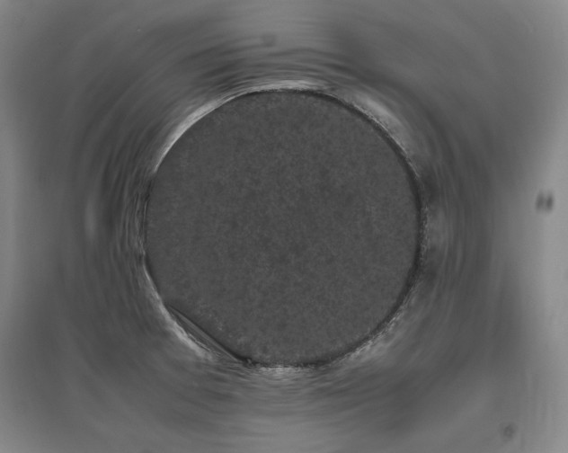 X0000095911377200801111222