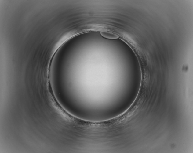 X0000095911378200801111222