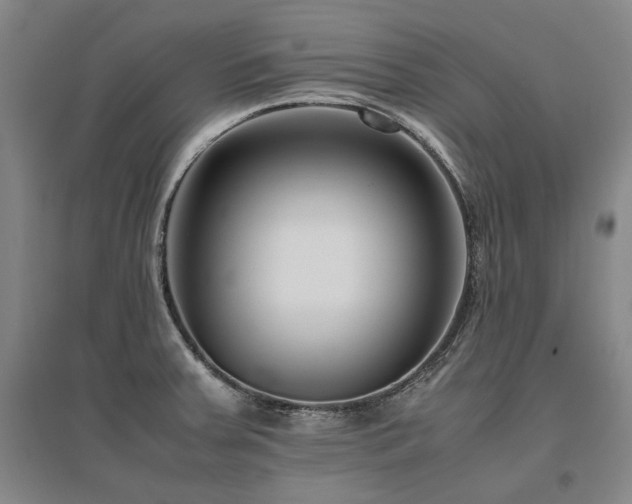 X0000095911379200801111222