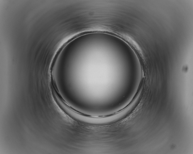 X0000095911380200801111222