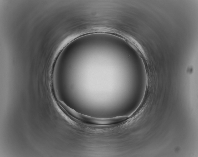 X0000095911381200801111222