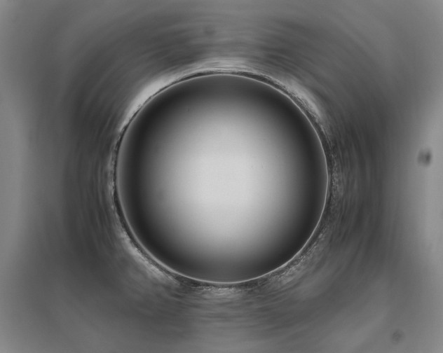 X0000095911382200801111222