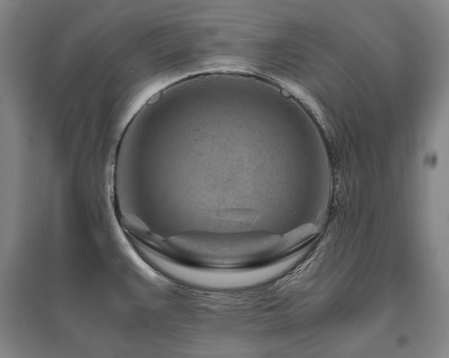 X0000095911383200801111222