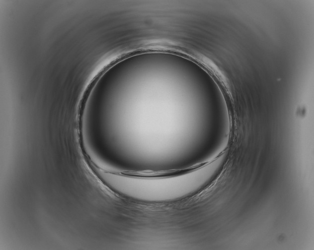 X0000095911384200801111222