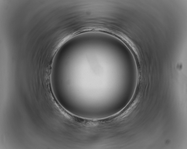 X0000095911385200801111222