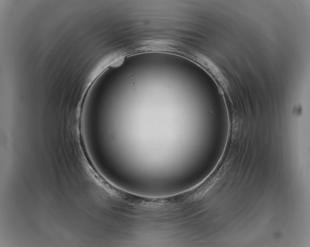 X0000095911386200801111222