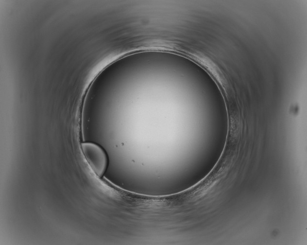 X0000095911387200801111222