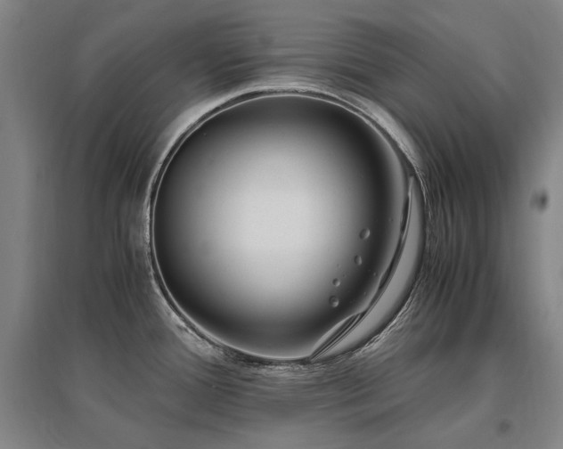 X0000095911388200801111222