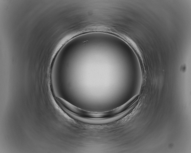 X0000095911389200801111222