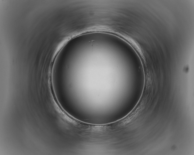 X0000095911390200801111222