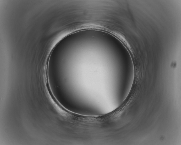 X0000095911391200801111222