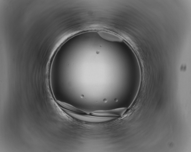 X0000095911392200801111222